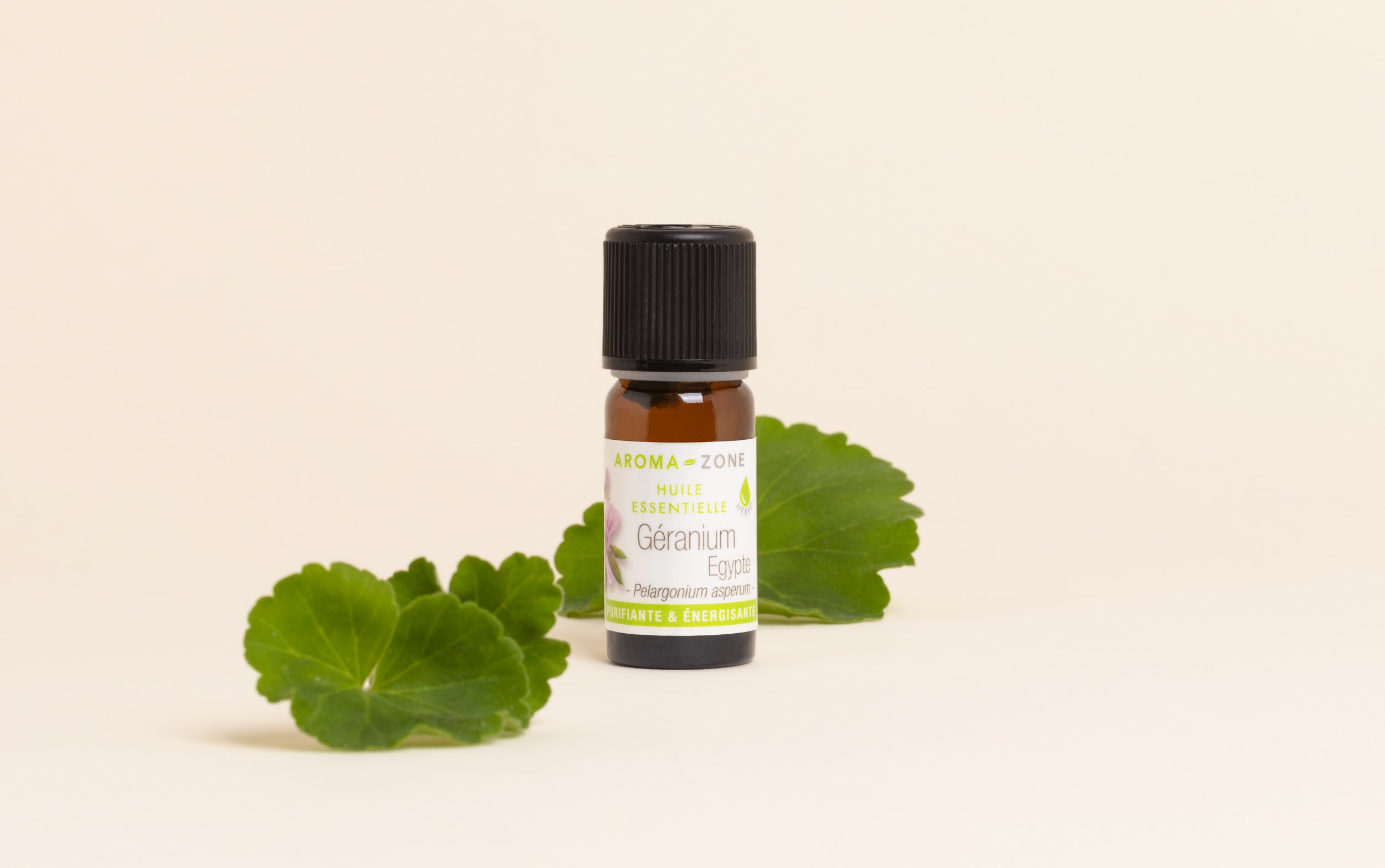 Un jour une huile essentielle : le Géranium en aromathérapie