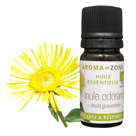 Huile essentielle d'Inule odorante : propriétés et utilisations - Aroma ...