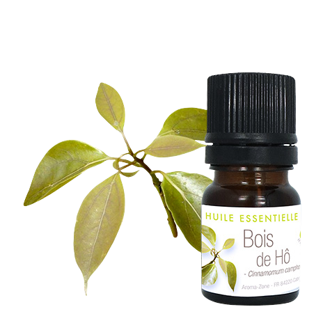 huile-essentielle-de-bois-de-h-propri-t-s-et-utilisations-aroma-zone